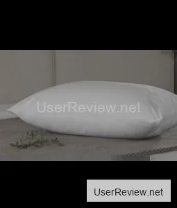 Ascot Protect-a-Pillow Simple Pillow Cover 50x70 cm