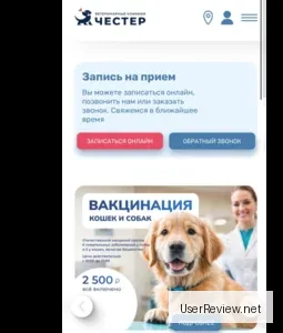 Chester Veterinary Clinic, St. Petersburg