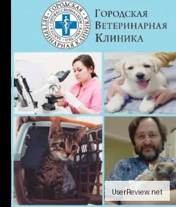 St. Petersburg City Veterinärklinik