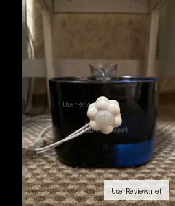 Nicedopet Hunde- und Katzenbrunnen