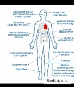 Dietas para la Resistencia a la Insulina